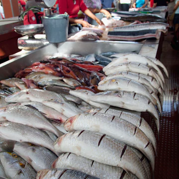 Fish on downtown fish market, Mindelo, Sao Vicente, Cape Verde Islands