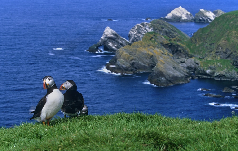 Herma Ness is the northernmost headland of Unst. It is a National Nature Reserve.