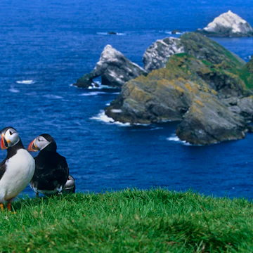 Herma Ness is the northernmost headland of Unst. It is a National Nature Reserve.