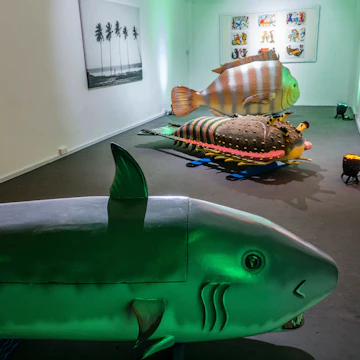 ANO Centre for Cultural Research