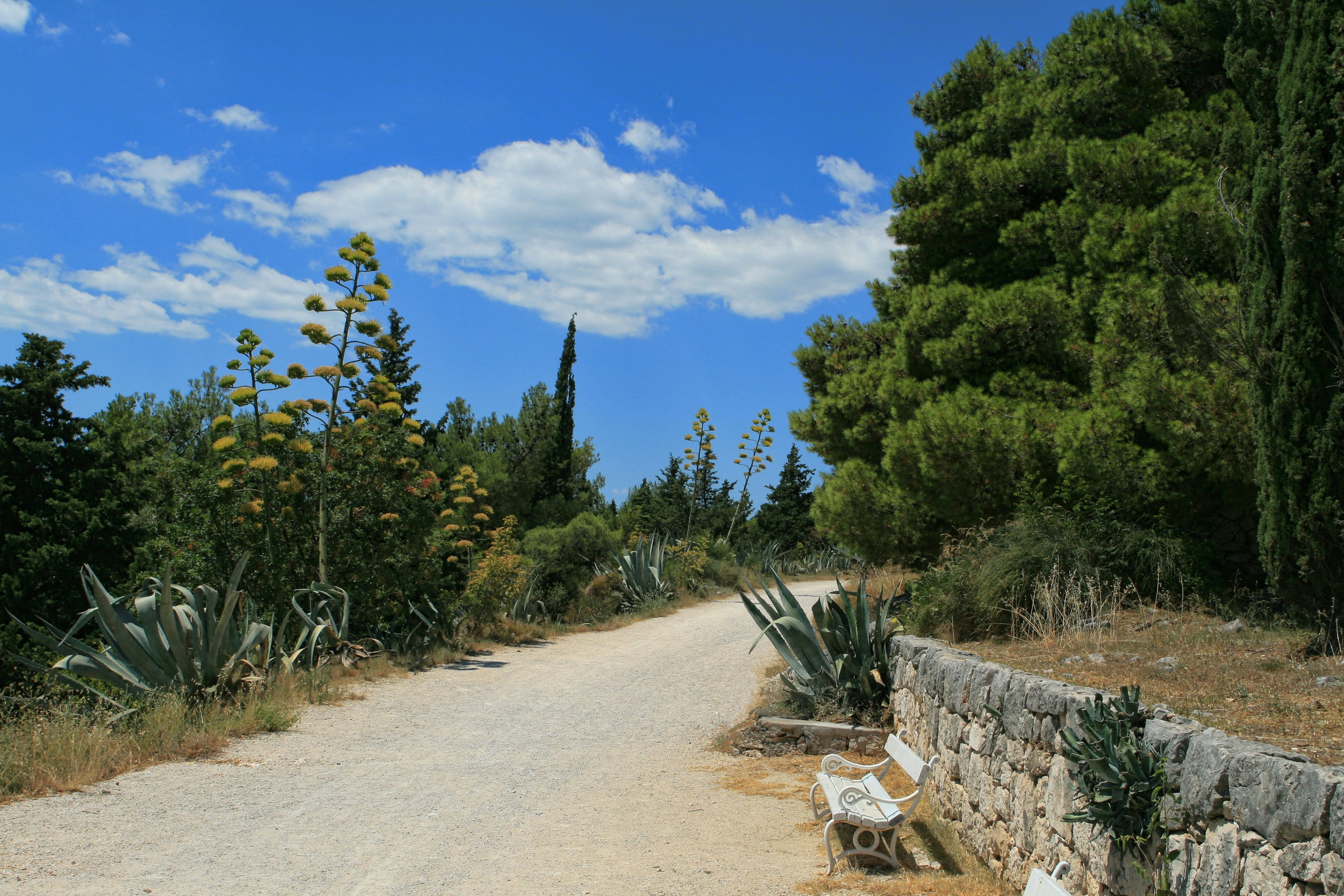 Marjan Park, Split, Croatia.; Shutterstock ID 128144606; Your name (First / Last): Lauren Gillmore; GL account no.: 56530; Netsuite department name: Online-Design; Full Product or Project name including edition: 65050/ Online Design /LaurenGillmore/POI