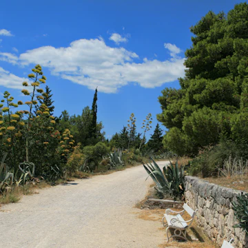 Marjan Park, Split, Croatia.; Shutterstock ID 128144606; Your name (First / Last): Lauren Gillmore; GL account no.: 56530; Netsuite department name: Online-Design; Full Product or Project name including edition: 65050/ Online Design /LaurenGillmore/POI