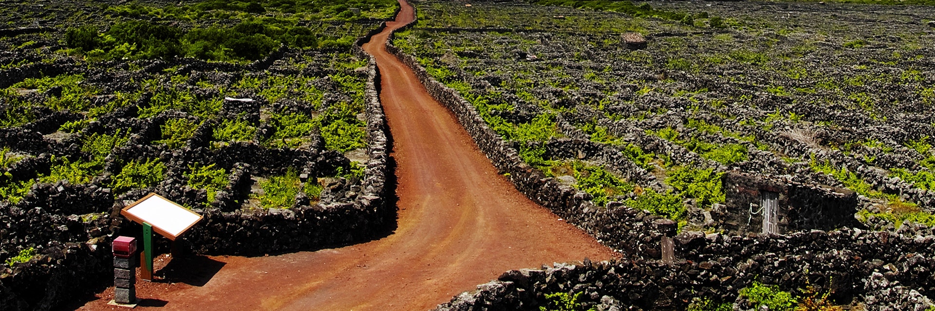 The Pico vineyards inscribed on the World Heritage List, Pico island, Azores,; Shutterstock ID 131557715; Your name (First / Last): James Kay; GL account no.: 65050; Netsuite department name: Online Editorial; Full Product or Project name including edition: Azores destination page highlights