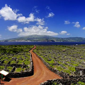 The Pico vineyards inscribed on the World Heritage List, Pico island, Azores,; Shutterstock ID 131557715; Your name (First / Last): James Kay; GL account no.: 65050; Netsuite department name: Online Editorial; Full Product or Project name including edition: Azores destination page highlights