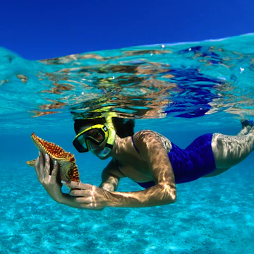 Checking out the underwater wildlife in Leinster Bay on Cruz Bay.