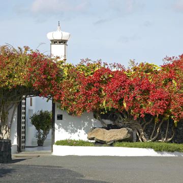 César Manrique Foundation on the island of Lanzarote, Canary Islands, Spain, Europe; Shutterstock ID 603358700; Your name (First / Last): Tom Stainer; GL account no.: 65050 ; Netsuite department name: Online Editorial; Full Product or Project name including edition: Best in Travel 2018