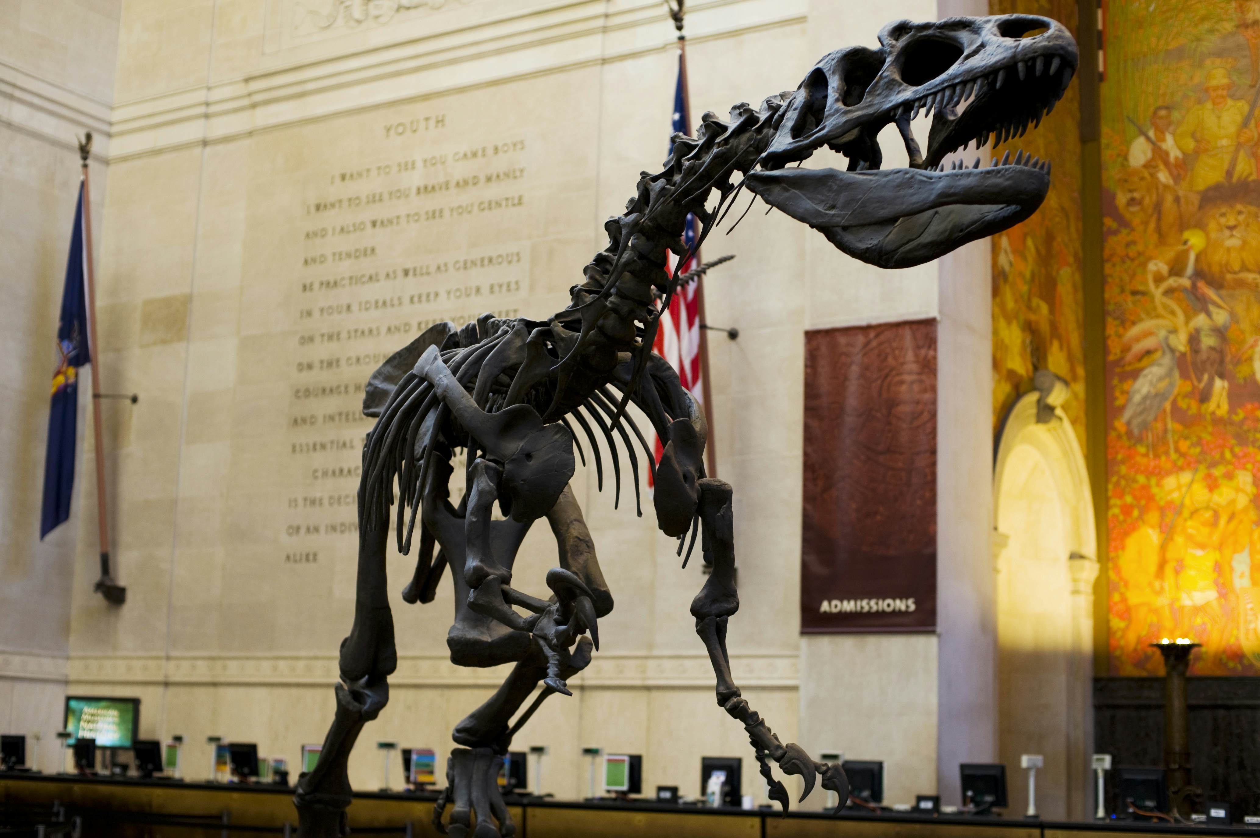 American Museum Of Natural History New York City Usa Attractions Lonely Planet