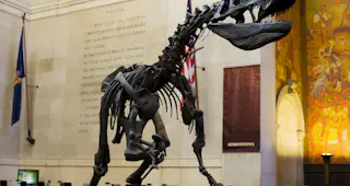 American Museum of Natural History