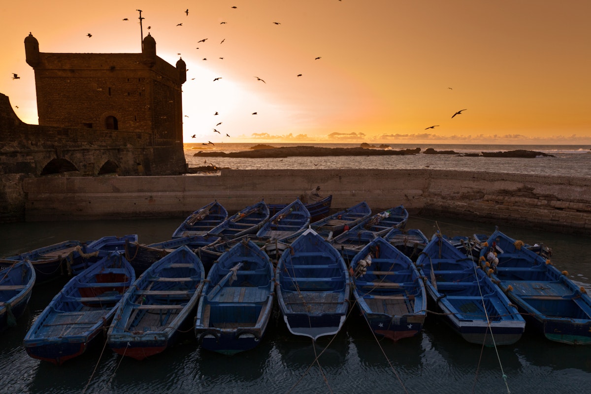 Boats docked in the Skala du port at sunset, Essaouira, Morocco