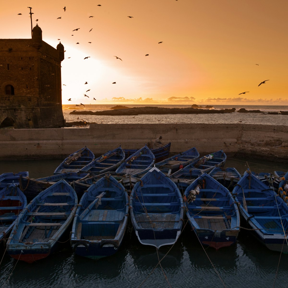 Boats docked in the Skala du port at sunset, Essaouira, Morocco