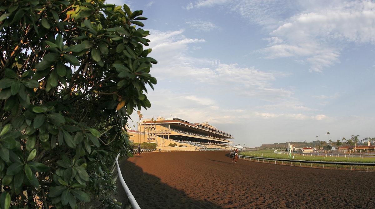 DEL MAR, CA - July 16, 2006:  Horse gallops in front of the Del Mar Race Track grandstand. July 16, 2006 (Photo by Horsephotos /Getty Images)