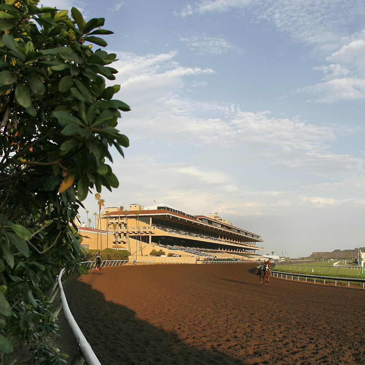 DEL MAR, CA - July 16, 2006:  Horse gallops in front of the Del Mar Race Track grandstand. July 16, 2006 (Photo by Horsephotos /Getty Images)