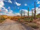 Travel to Saguaro National Park, Arizona, USA