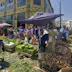 Vendors and buyers at Mercado Cardonal, ValparaIso, Chile
