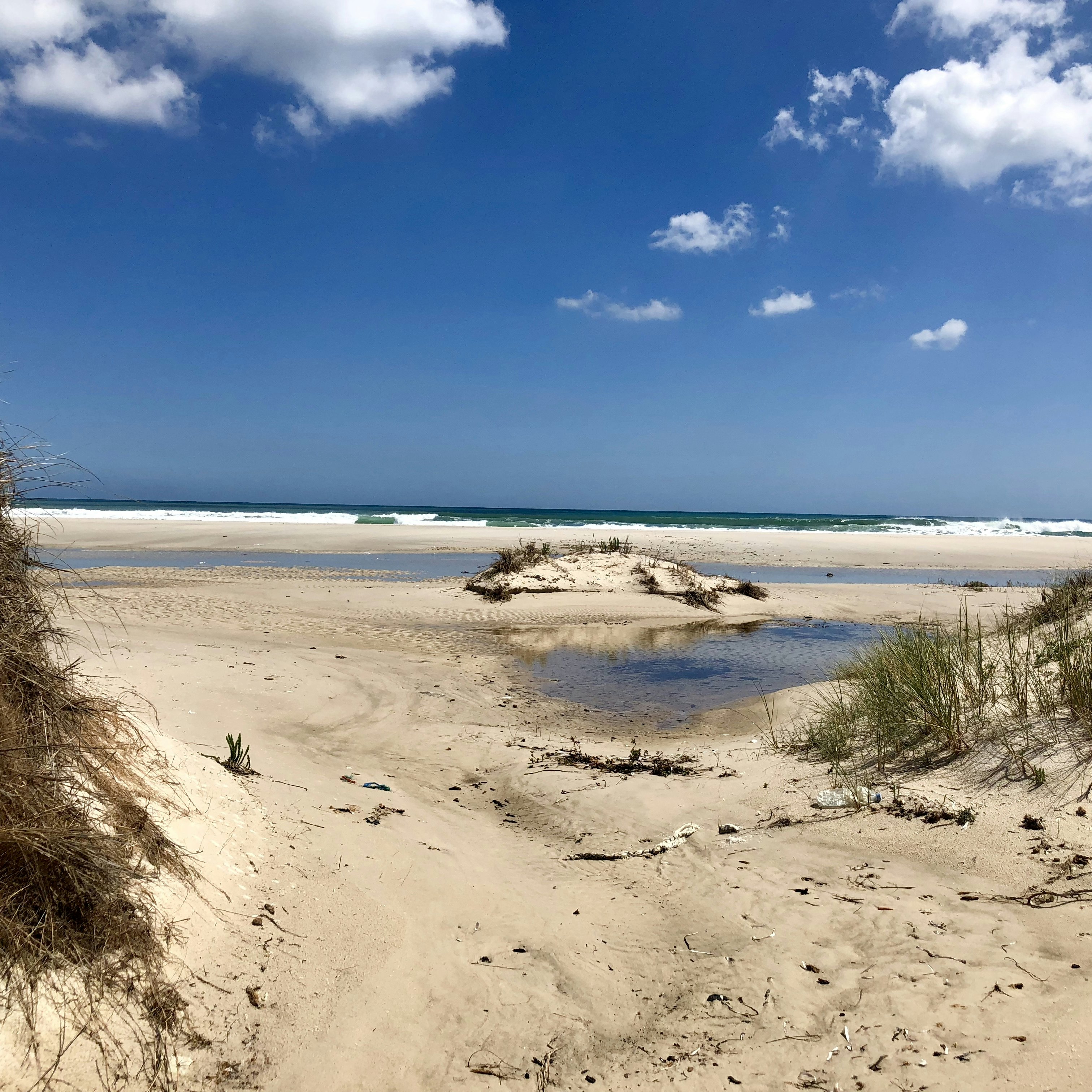 Plage de Sidi Mansour