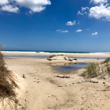 Plage de Sidi Mansour