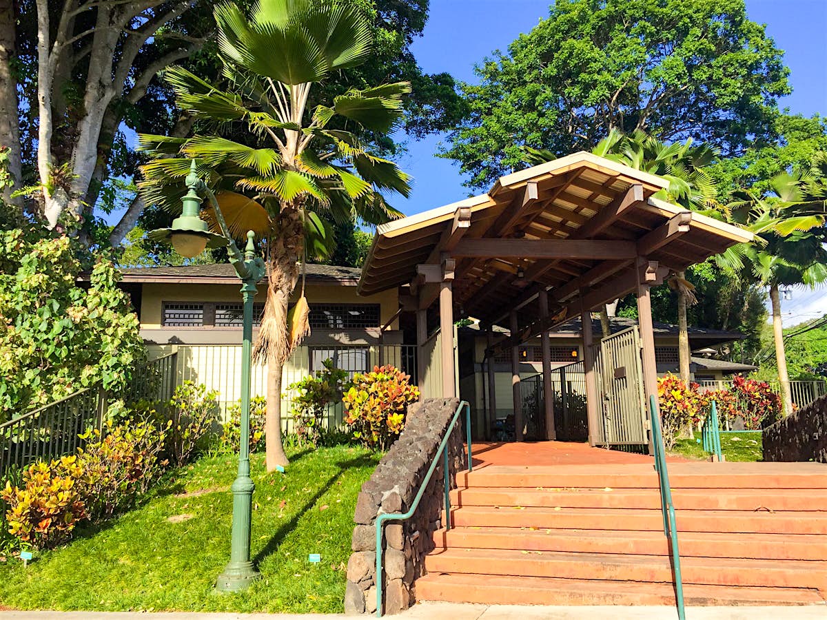 Wahiawa Botanical Gardens Wahiawa, USA Attractions Lonely