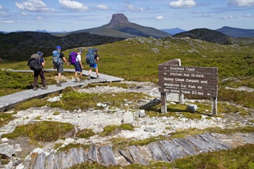 Hikers on the Overland Track