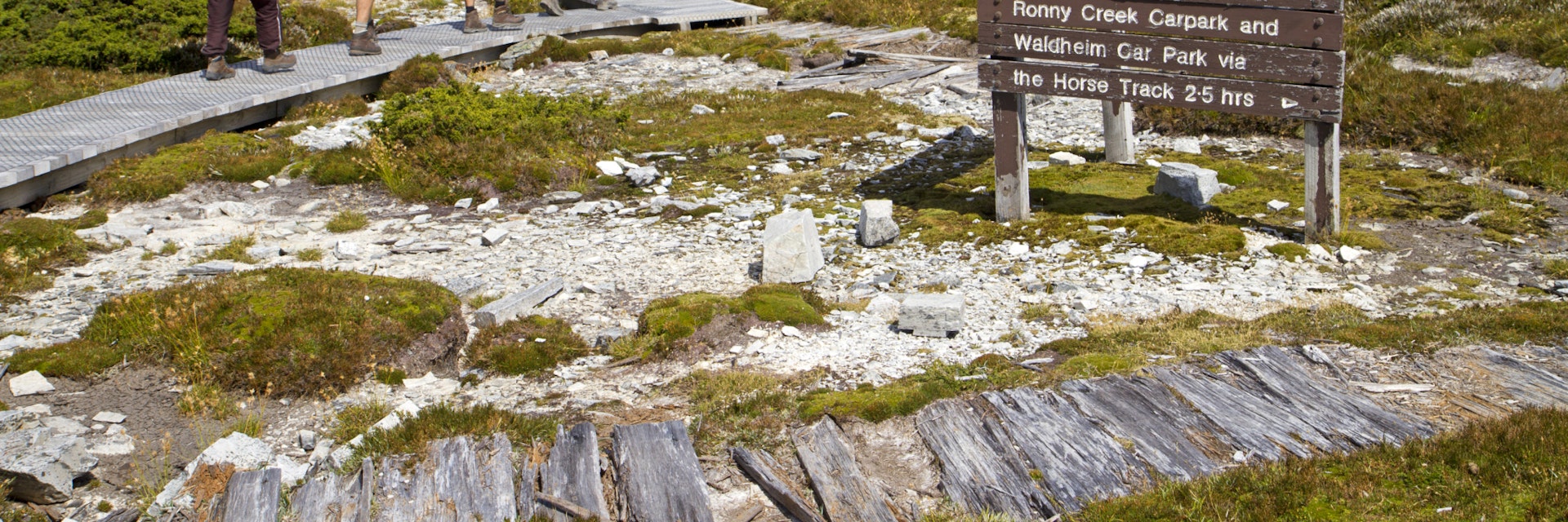 Hikers on the Overland Track