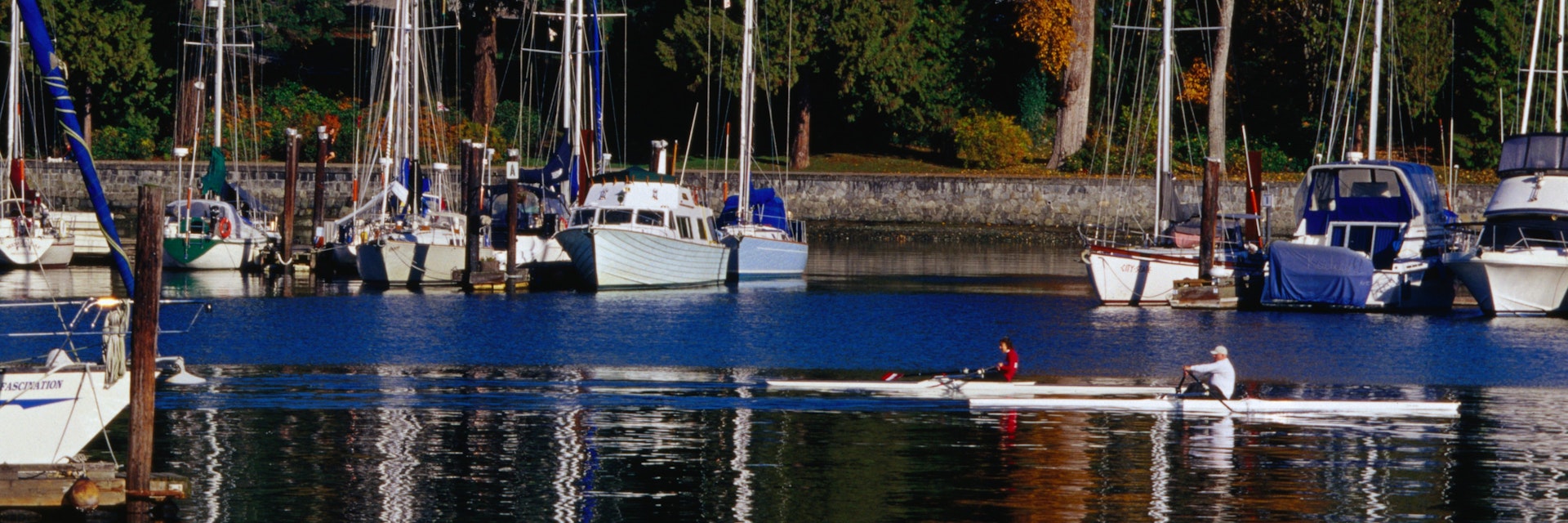 Coal Harbour, North side of West End.