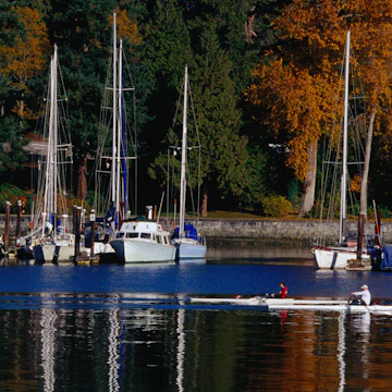 Coal Harbour, North side of West End.