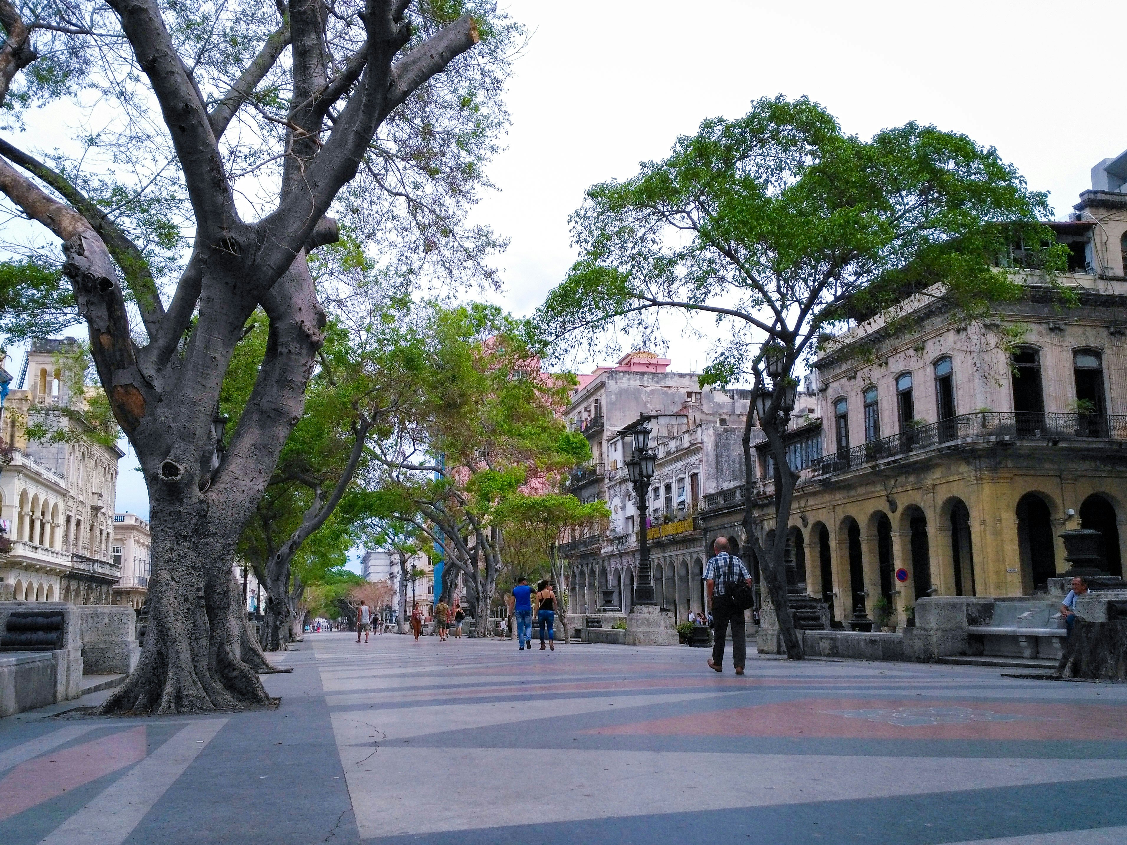 Image of Paseo de Martí