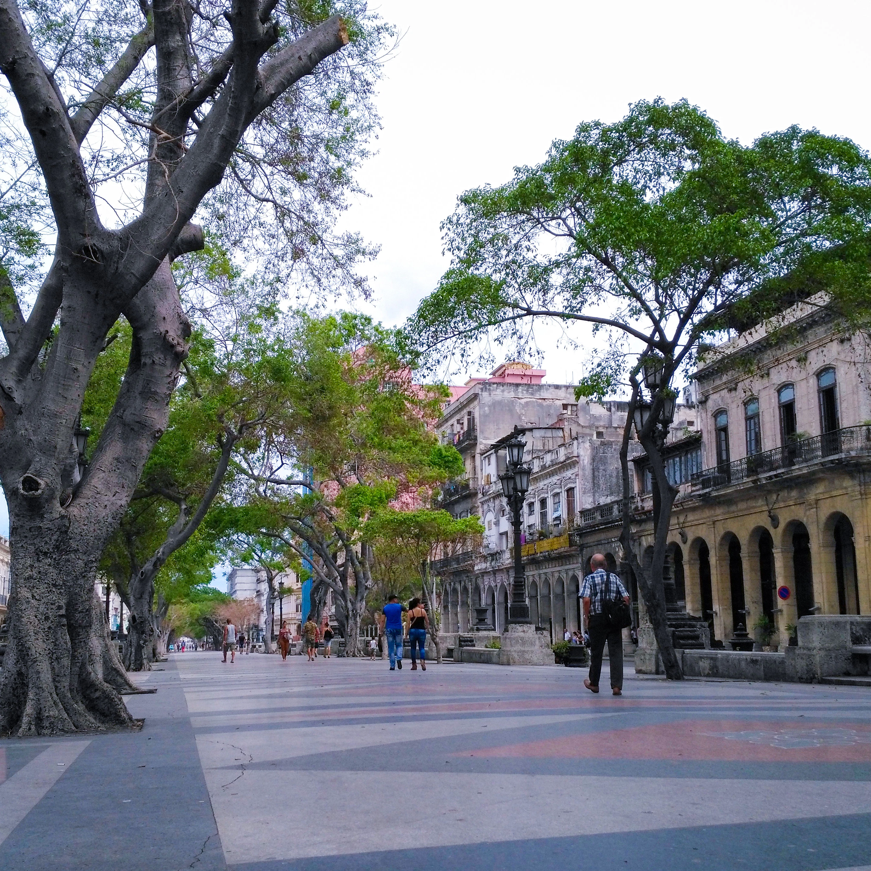 Image of Paseo de Martí