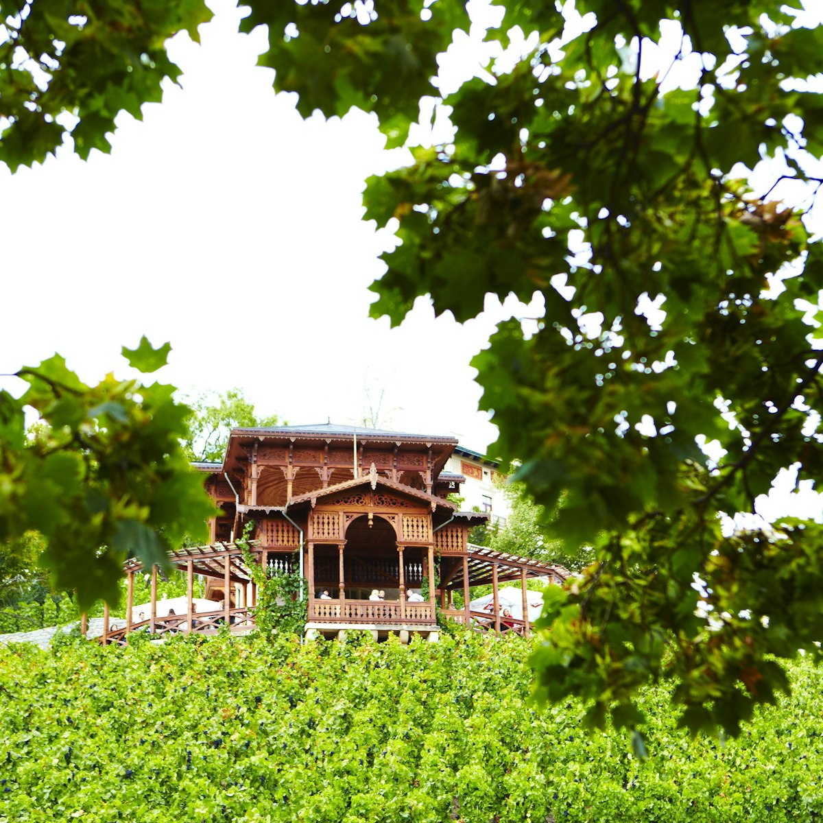 Pagoda amongst vineyard at Vinicni Altan winery.