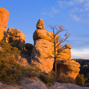 Rock formations in Chiricahua National Monument, Willcox, Cochise County, Arizona, United States of America, North America