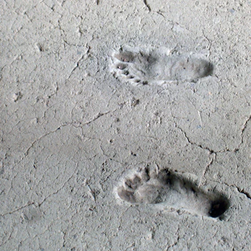 Museo Arqueológico Huellas de Acahualinca