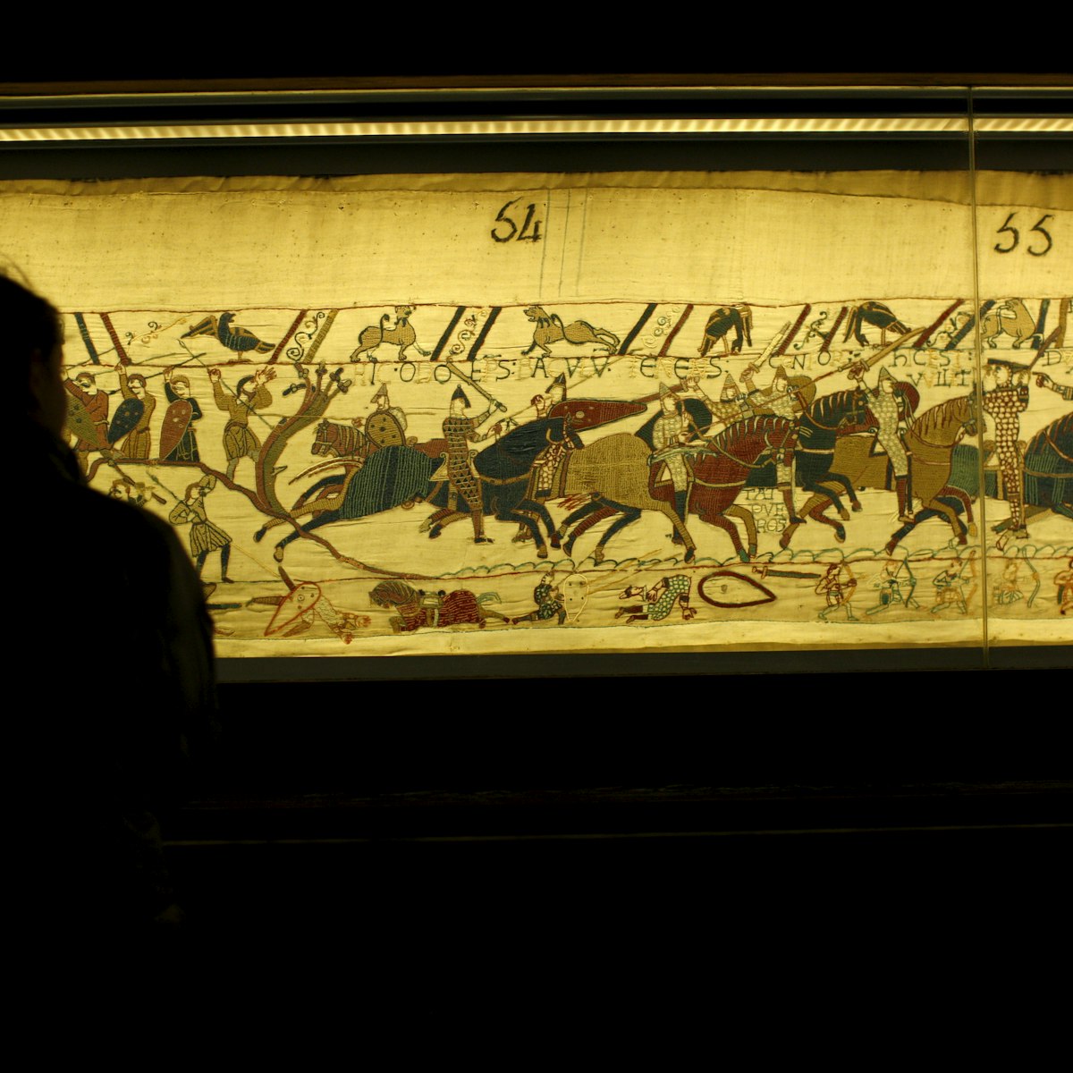 Bayeux Tapestry known in France as La Tapisserie de la Reine Mathilde (Tapestry of Queen Mathilda), Bayeux, Normandy, France, Europe