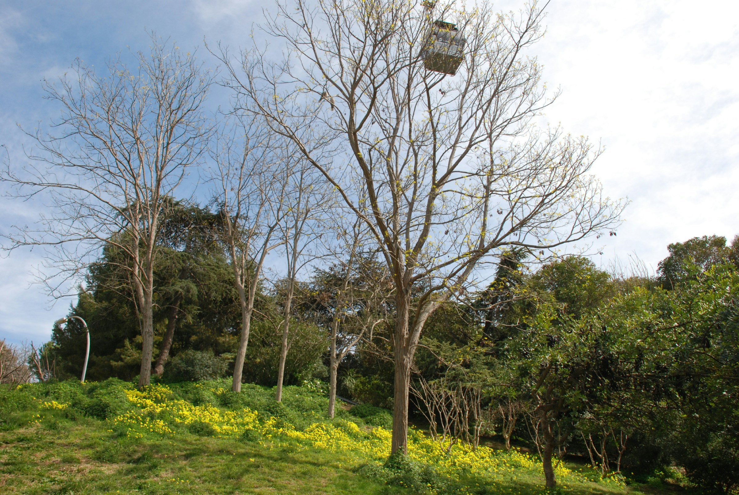 Inside the Jardins of Joan Brossa