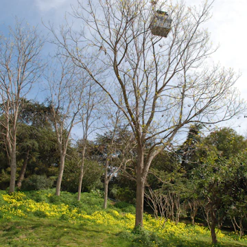 Inside the Jardins of Joan Brossa