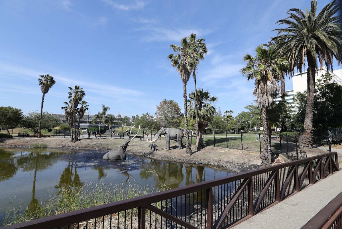 LOS ANGELES, CA - MAY 11:  A general exterior view of the La Brea Tar Pits is seen on May 11, 2016 in the Miracle Mile District of Los Angeles, California.  (Photo by Victor Decolongon/Getty Images)