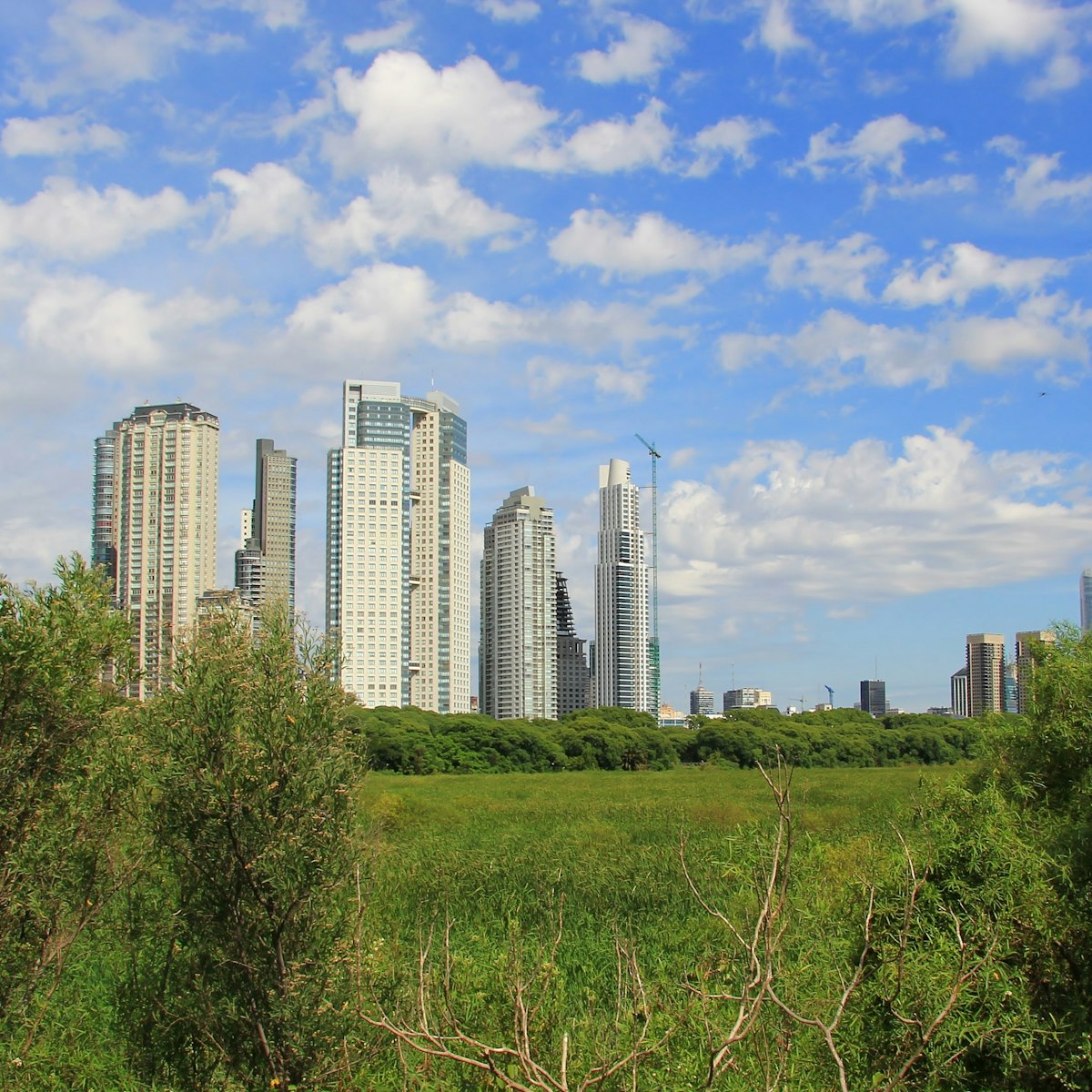 [UNVERIFIED CONTENT] Show a view of the city from this amazing reserve. Amazing place to view wildlife and flowers. Also, a park used by the locals for walking, jogging, picnicking and relaxing.