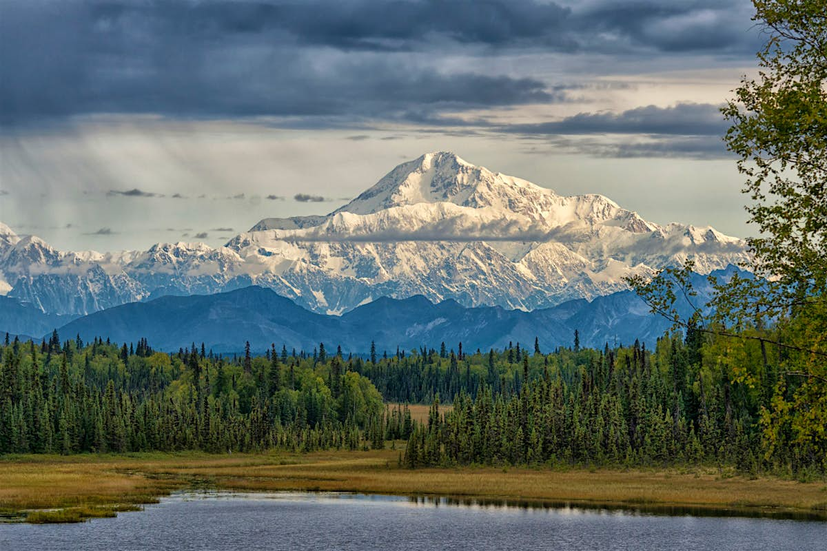 Denali National Park And Preserve Travel Alaska Usa Lonely Planet 8479