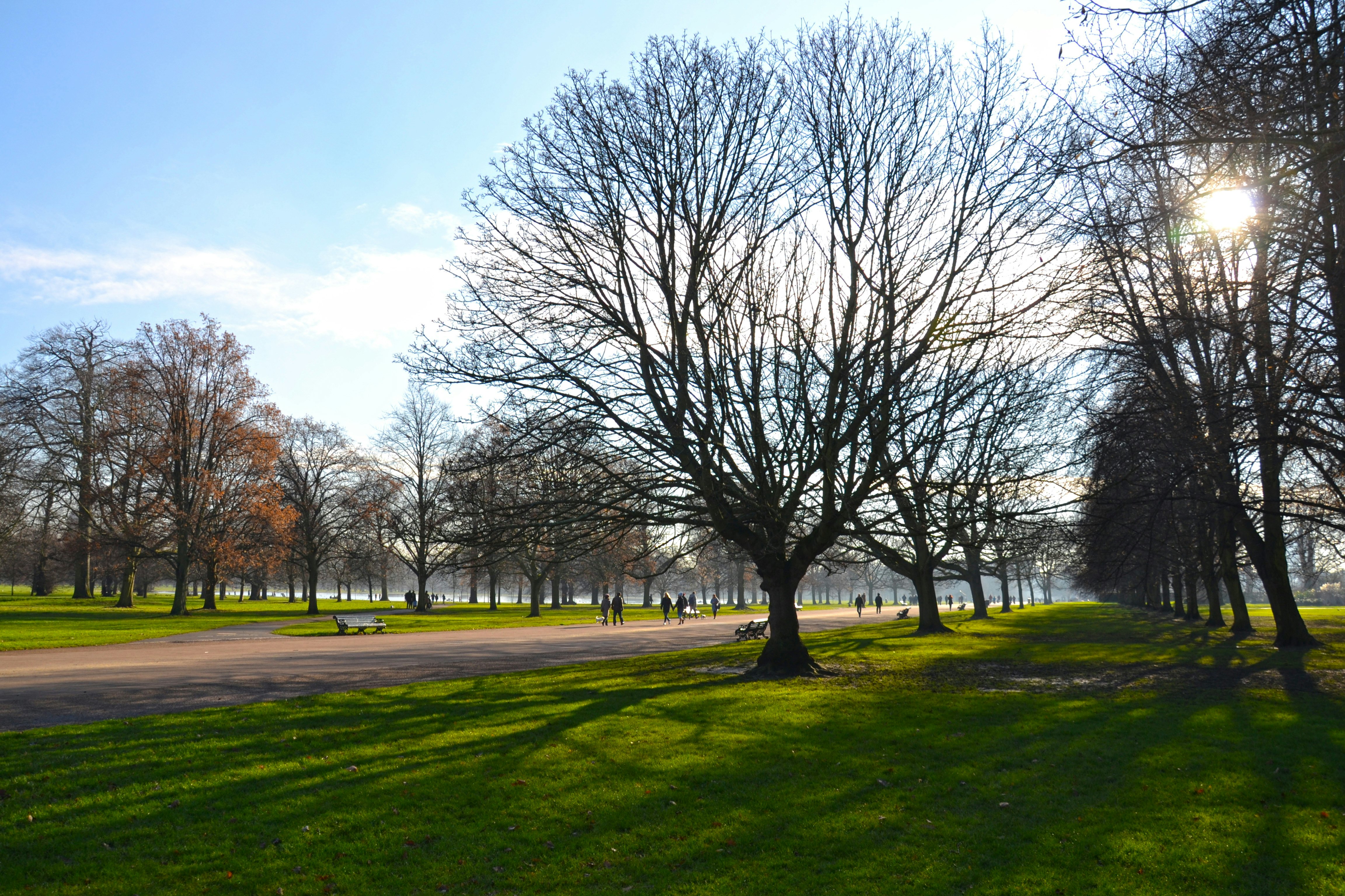 Image of Kensington Gardens