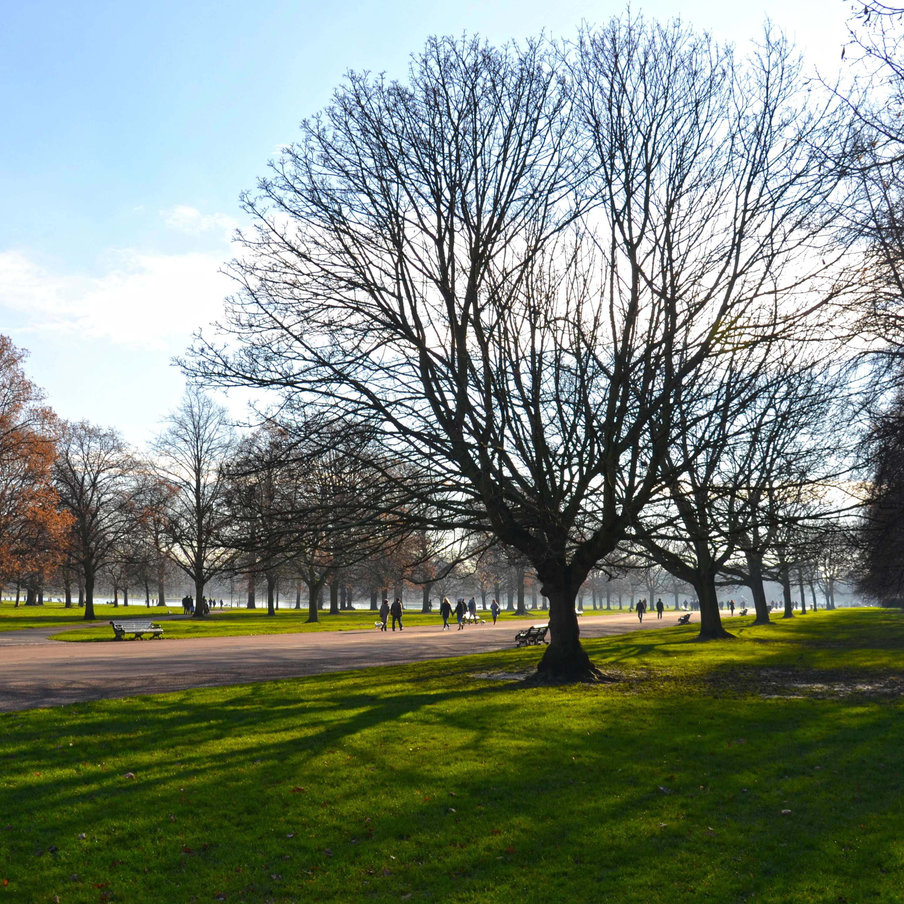 Image of Kensington Gardens
