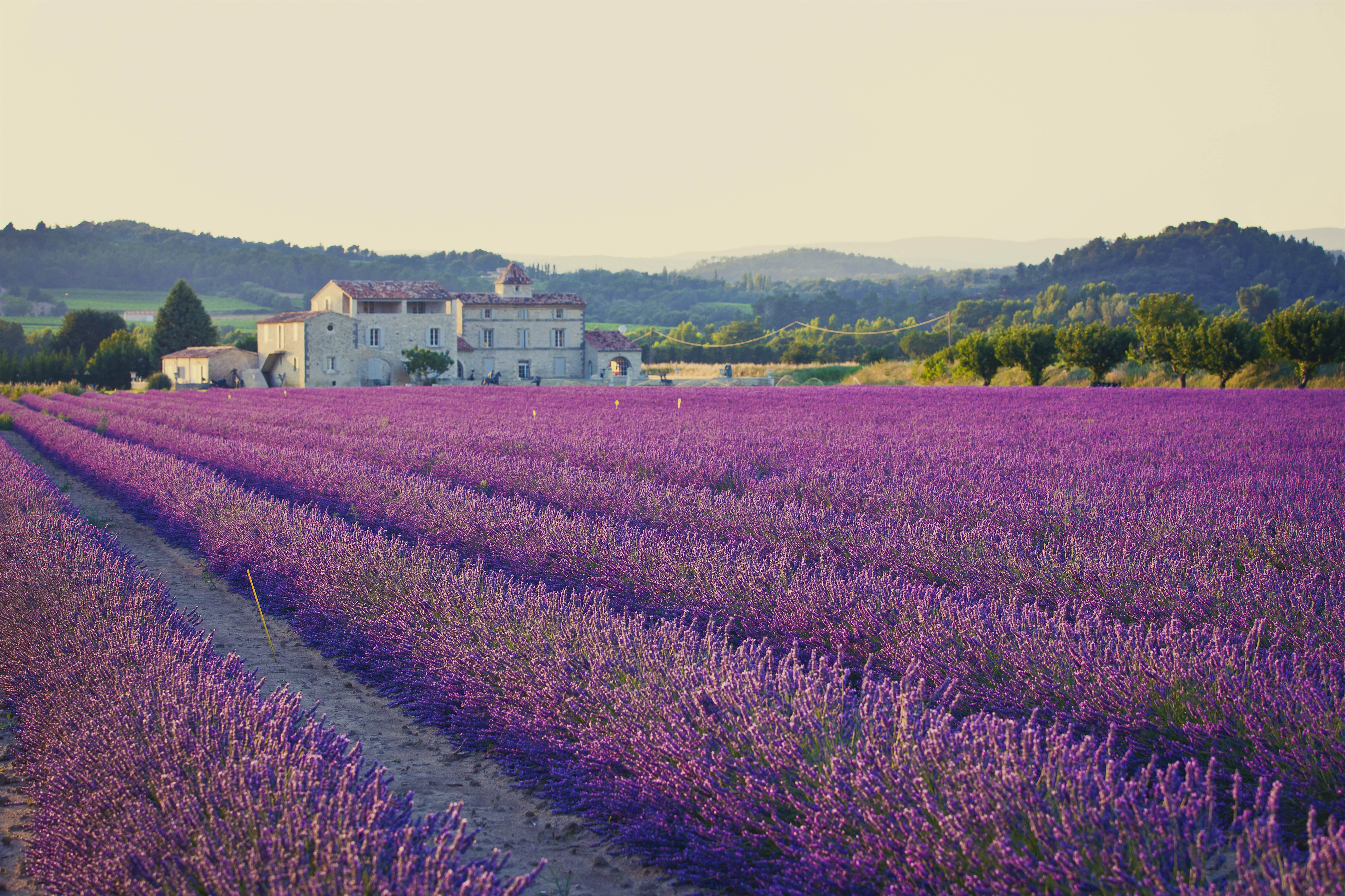 Provence & the Côte d'Azur