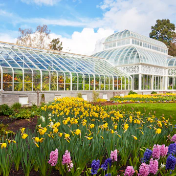 SEATTLE - APRIL 5: Volunteer Park Conservatory in Seattle on April 5, 2012. The city is exploring new funding sources to offset the annual operating budget of $450K. ; Shutterstock ID 103534460; Your name (First / Last): Josh Vogel; Project no. or GL code: 56530; Network activity no. or Cost Centre: Online-Design; Product or Project: 65050/7529/Josh Vogel/LP.com Destination Galleries