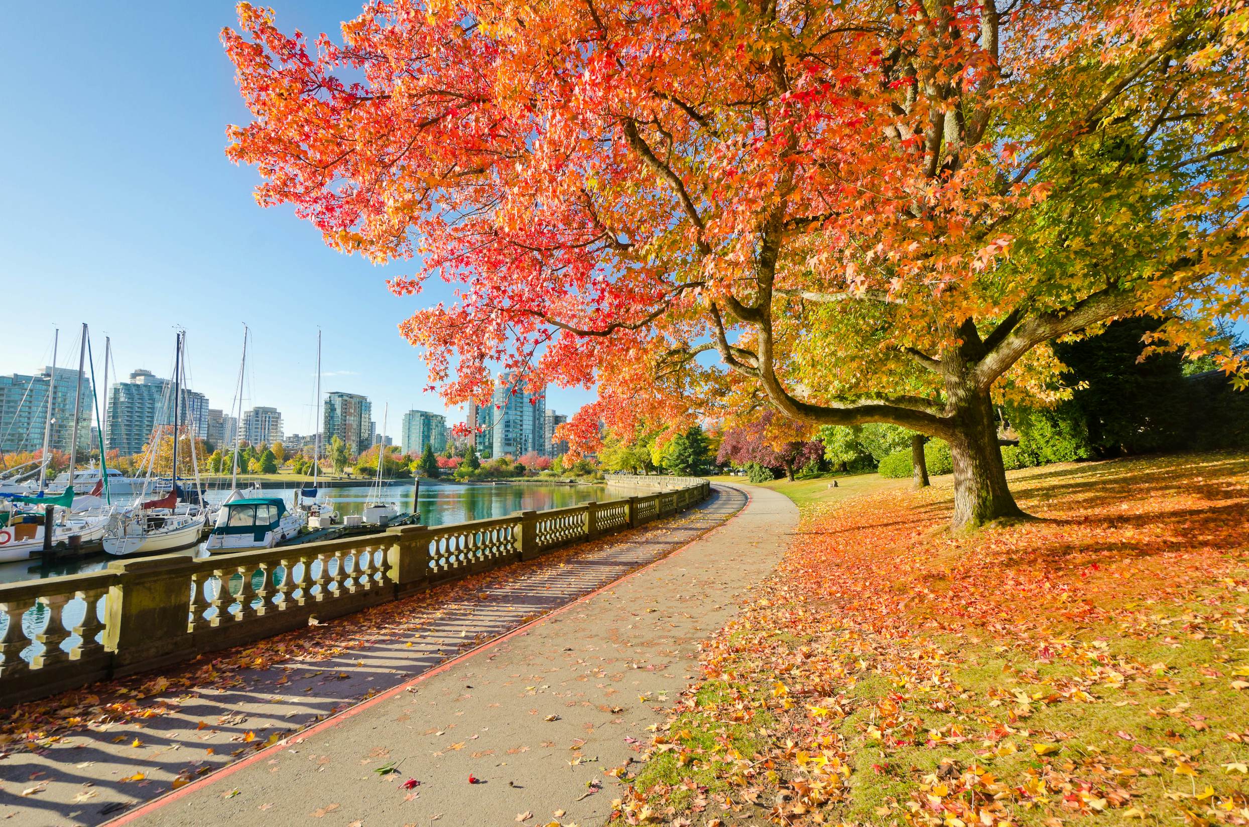 Stanley Park | Vancouver, Canada Attractions - Planet