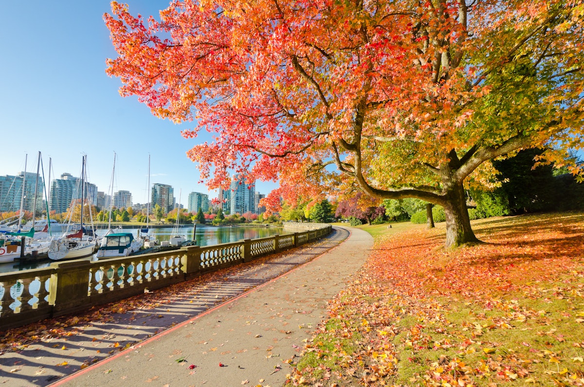 Colors of the autumn. Gorgeous sea walk in the park. Stanley Park in Vancouver. Canada.; Shutterstock ID 115945702; Your name (First / Last): Josh Vogel; Project no. or GL code: 56530; Network activity no. or Cost Centre: Online-Design; Product or Project: 65050/7529/Josh Vogel/LP.com Destination Galleries