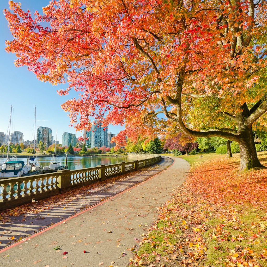 Colors of the autumn. Gorgeous sea walk in the park. Stanley Park in Vancouver. Canada.; Shutterstock ID 115945702; Your name (First / Last): Josh Vogel; Project no. or GL code: 56530; Network activity no. or Cost Centre: Online-Design; Product or Project: 65050/7529/Josh Vogel/LP.com Destination Galleries