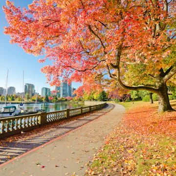 Colors of the autumn. Gorgeous sea walk in the park. Stanley Park in Vancouver. Canada.; Shutterstock ID 115945702; Your name (First / Last): Josh Vogel; Project no. or GL code: 56530; Network activity no. or Cost Centre: Online-Design; Product or Project: 65050/7529/Josh Vogel/LP.com Destination Galleries