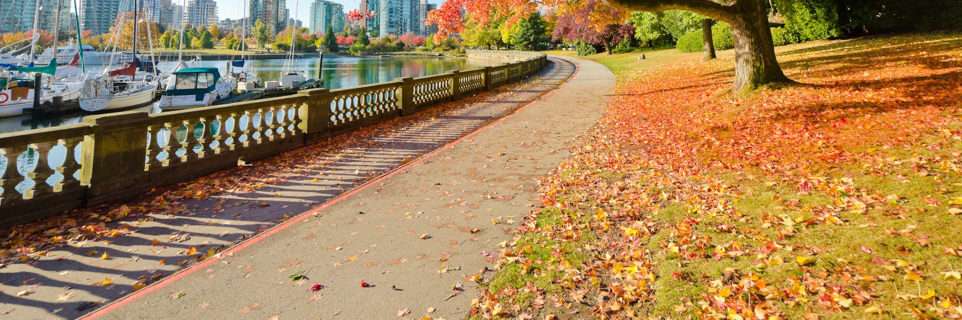 Colors of the autumn. Gorgeous sea walk in the park. Stanley Park in Vancouver. Canada.; Shutterstock ID 115945702; Your name (First / Last): Josh Vogel; Project no. or GL code: 56530; Network activity no. or Cost Centre: Online-Design; Product or Project: 65050/7529/Josh Vogel/LP.com Destination Galleries