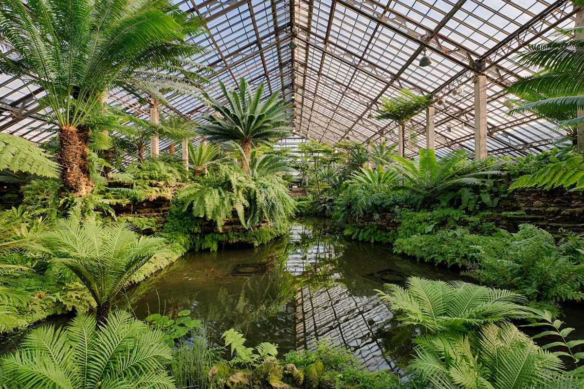 CHICAGO, ILLINOIS - DECEMBER 9: Fern Room of the Garfield Park Conservatory on December 9, 2013 in Chicago, Illinois; Shutterstock ID 166759727; Your name (First / Last): Josh Vogel; Project no. or GL code: 56530; Network activity no. or Cost Centre: Online-Design; Product or Project: 65050/7529/Josh Vogel/LP.com Destination Galleries