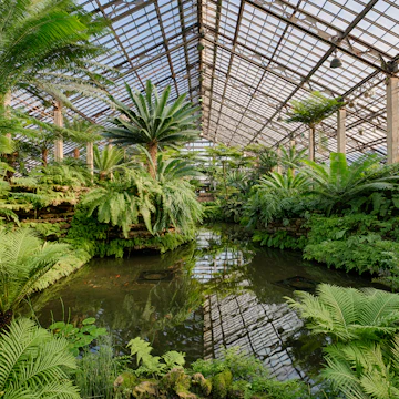 CHICAGO, ILLINOIS - DECEMBER 9: Fern Room of the Garfield Park Conservatory on December 9, 2013 in Chicago, Illinois; Shutterstock ID 166759727; Your name (First / Last): Josh Vogel; Project no. or GL code: 56530; Network activity no. or Cost Centre: Online-Design; Product or Project: 65050/7529/Josh Vogel/LP.com Destination Galleries