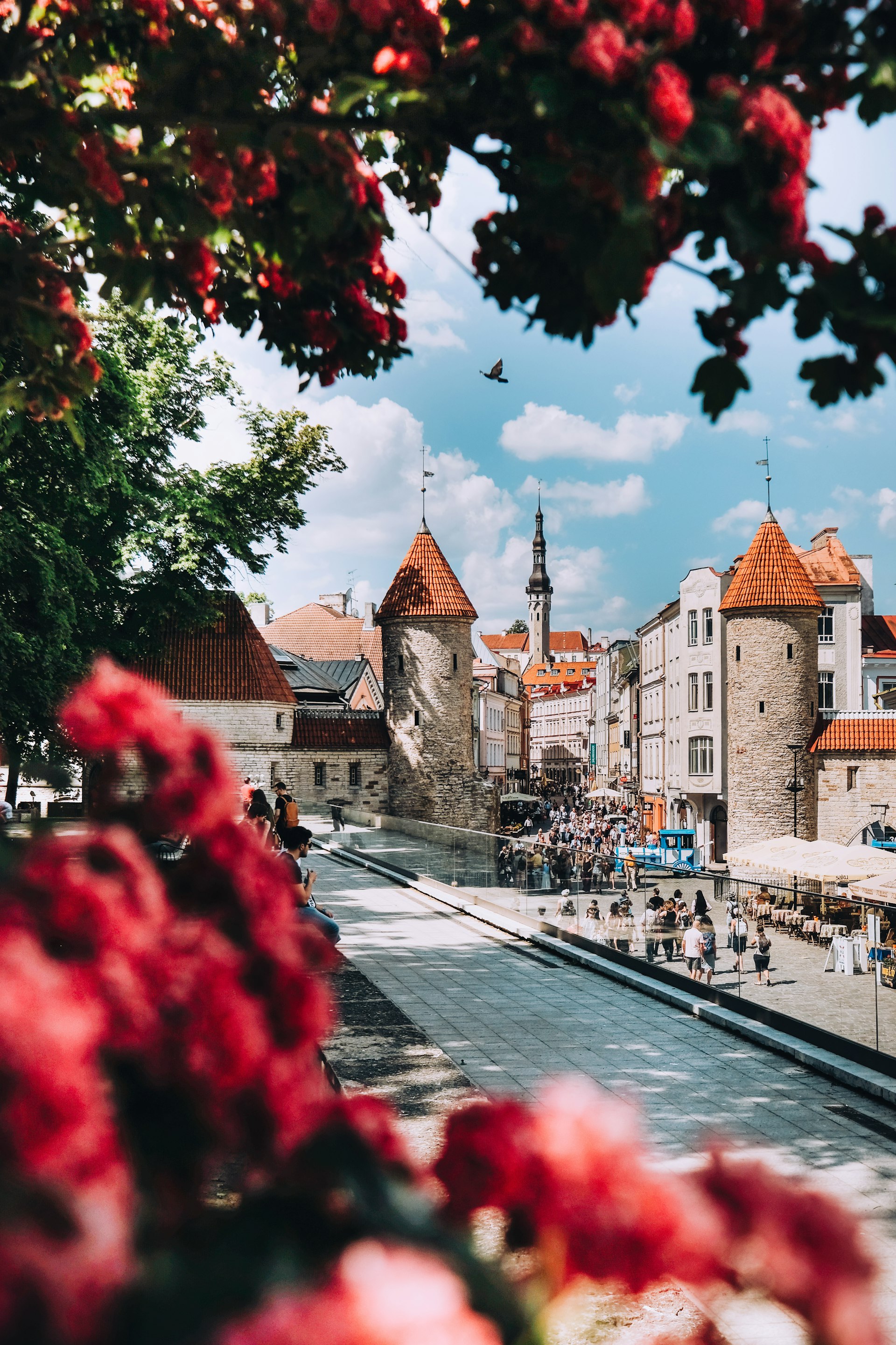 Tallinn by the seasons: a year-round guide to Estonia's capital - Lonely  Planet