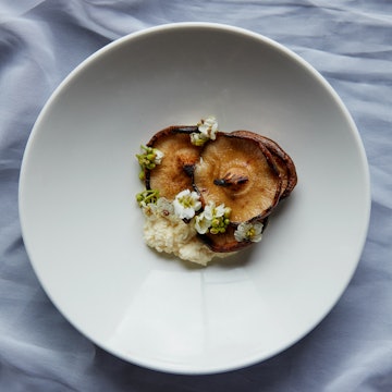 Shitake mushrooms, ricotta and mushroom garum
