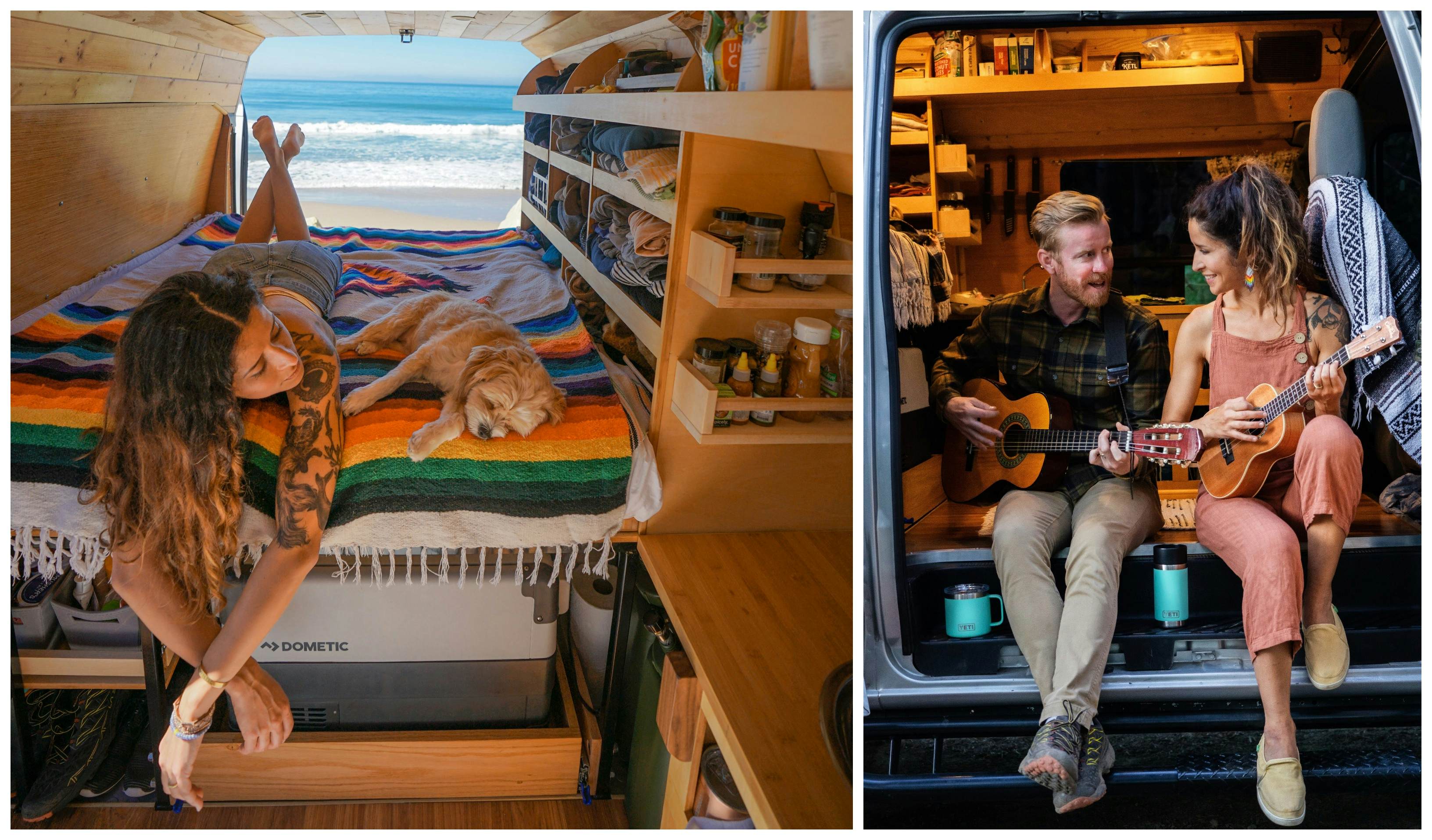 VanLife Dog is Their Co-pilot, Literally · The Wildest